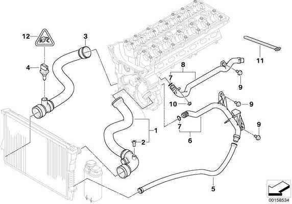 BMW Genuine Cooling System Water Hose