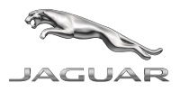 Jaguar lifestyle